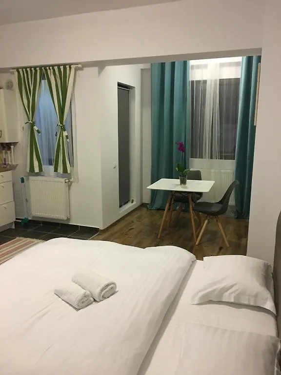 Central Studio Bucharest Apartment